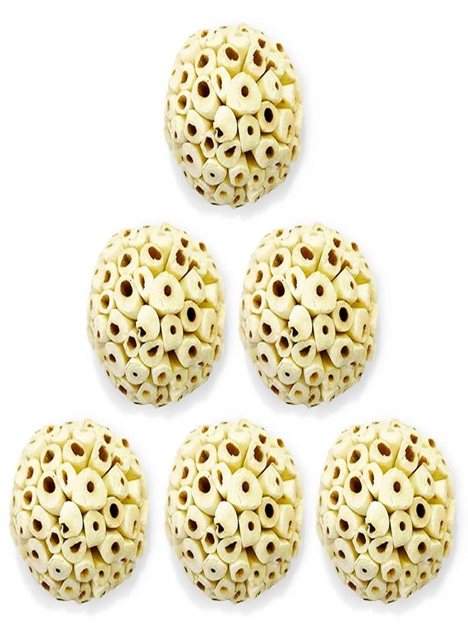 SunGrow Sola Atta Foraging Balls, 2”, White Soft Shred Parrot Chews, Bird Chewing Accessories for Conure, Budgie, Parakeet, Cockatiel, Rabbits, Hamsters, and Other Small Pets, 6 Pcs/Pack - Image 1